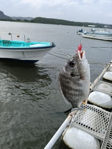 宮崎県の釣果・釣り場情報【2026年最新】 - アングラーズ | 釣果600万