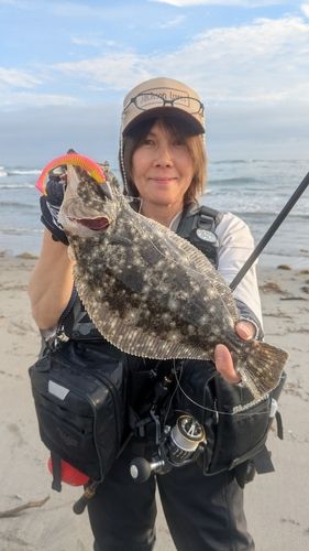 静岡県で釣れたライギョの釣り・釣果情報 - アングラーズ | 釣果600万