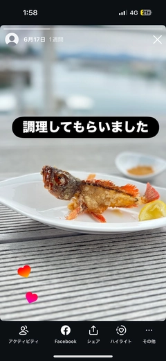 ガシラの釣果
