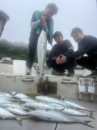 ブリの釣果