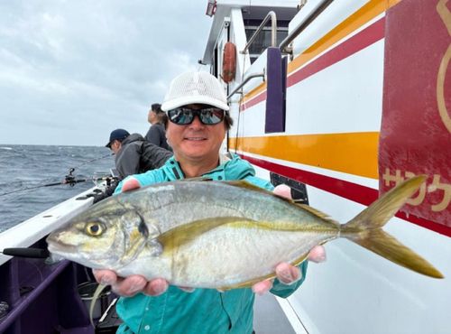 シマアジの釣果