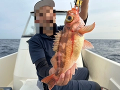 タイの釣果