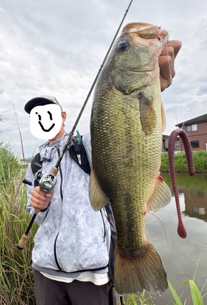 DAIWA 22アルファス SV TW 800S-XHLの最安値・インプレ・釣果 | 本音の