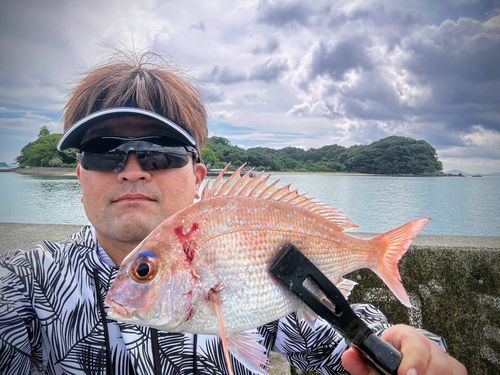 タイの釣果