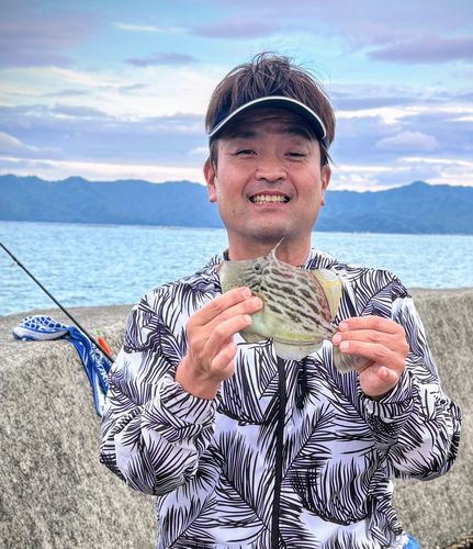 カワハギの釣果