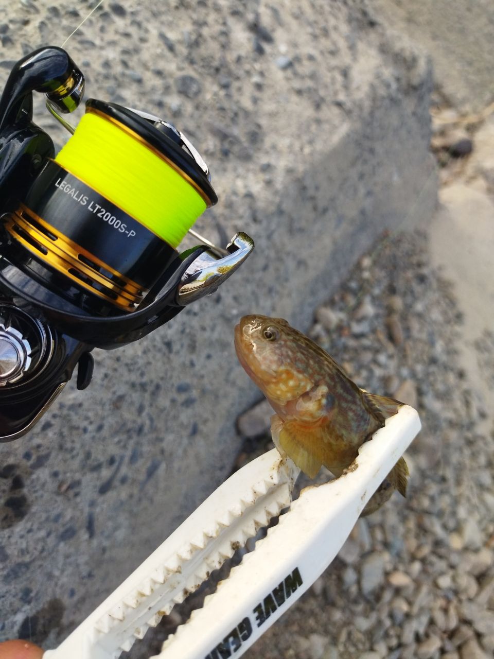 SHIMANO 22ソアレ SS アジング S58UL-Sの最安値・インプレ・釣果