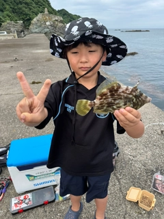 カワハギの釣果