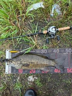 スモールマウスバスの釣果