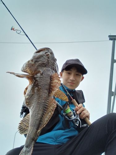 カジカの釣果