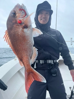 マダイの釣果
