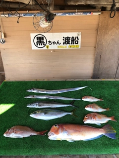 アマダイの釣果