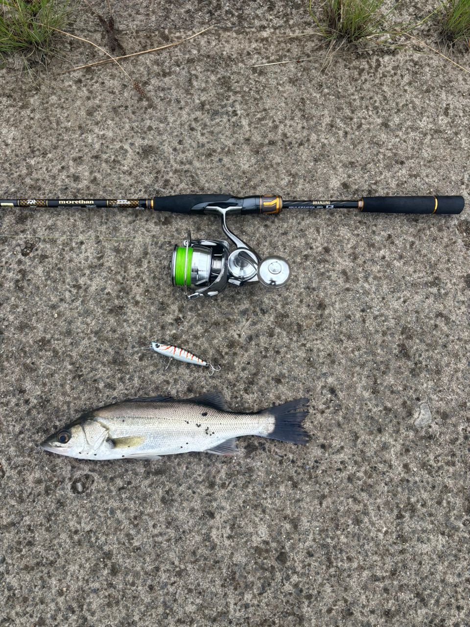 DAIWA 21モアザン ブランジーノ EX AGS 87LMLの最安値・インプレ・釣果