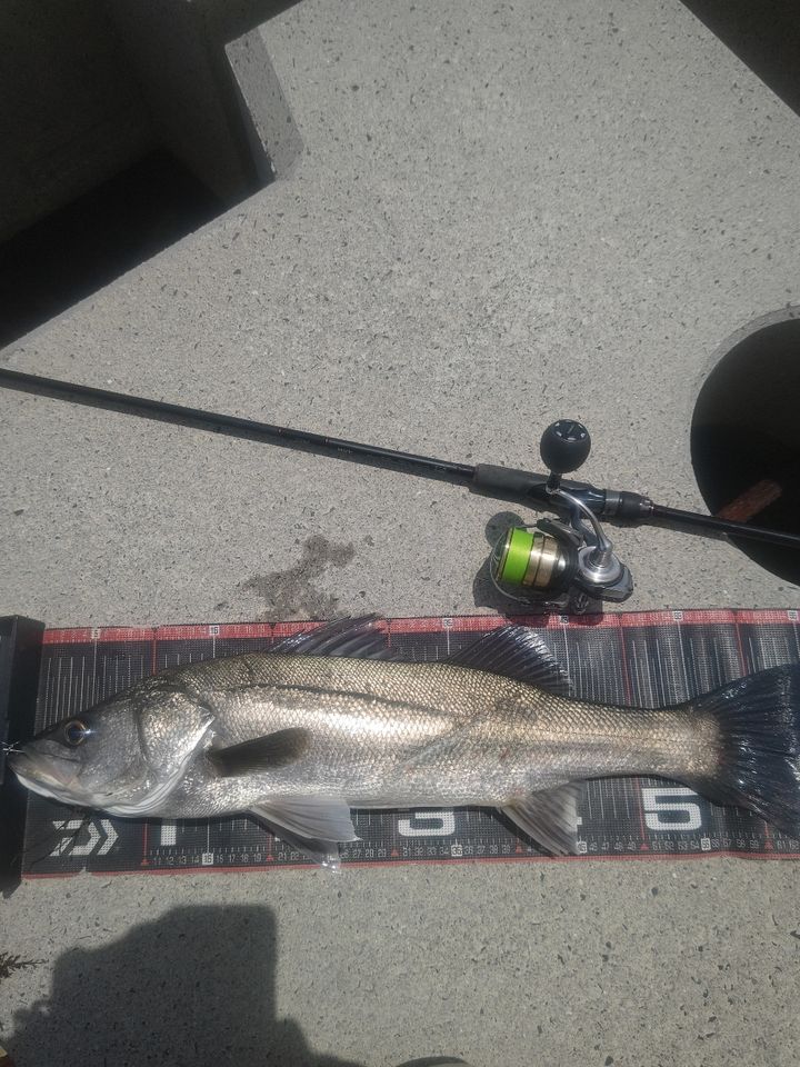 DAIWA 22HRF® (ハードロックフィッシュ) 86M・Qの最安値・インプレ