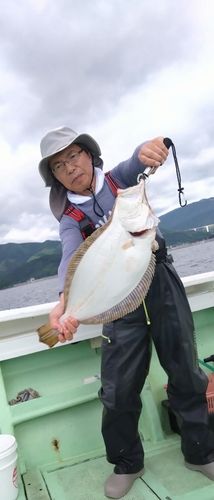 ヒラメの釣果