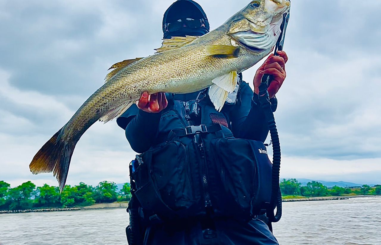 シーバスの釣果写真