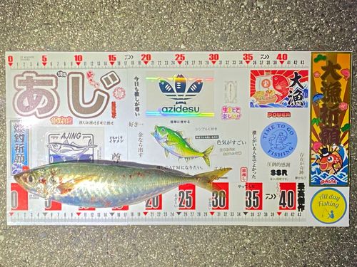 マルアジの釣果