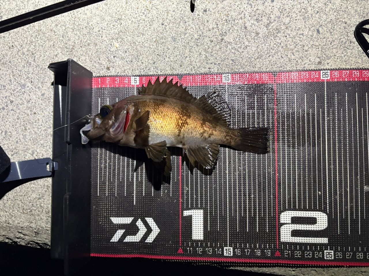DAIWA 21月下美人 MX 74UL-S・Nの最安値・インプレ・釣果 | 本音の