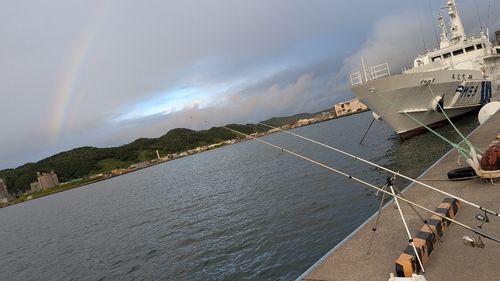 ガヤの釣果