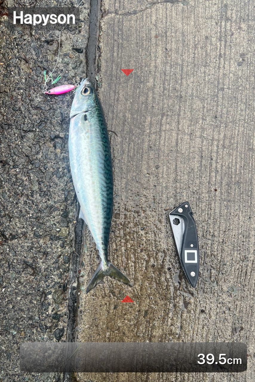 DAIWA 22ショアジギング X 100MHの最安値・インプレ・釣果 | 本音の