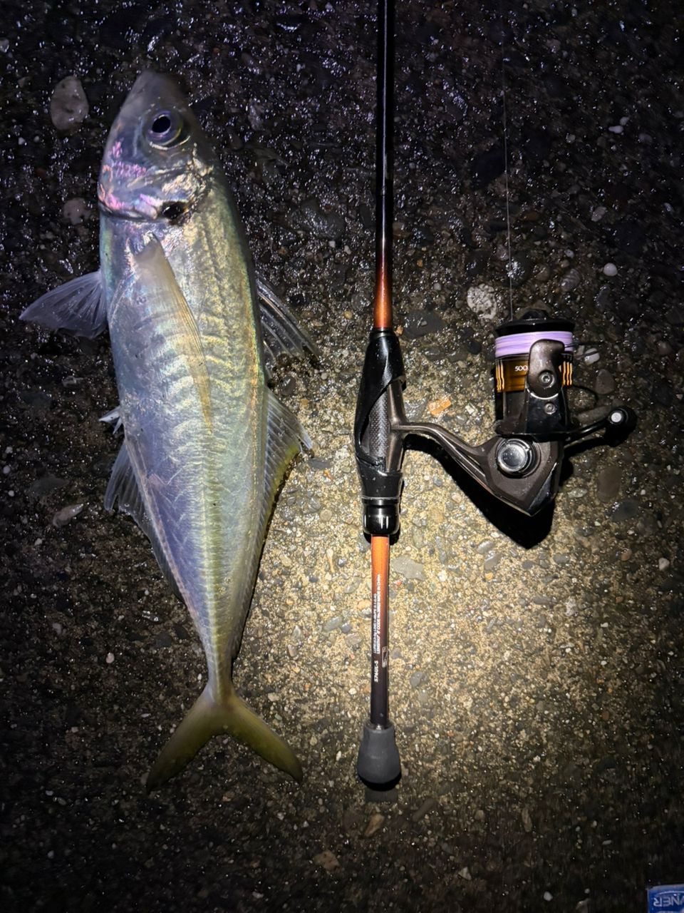 SHIMANO 22ソアレ BB 500SPGの最安値・インプレ・釣果 | 本音の口コミ