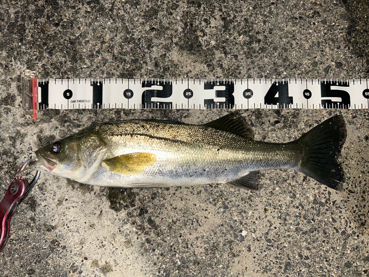 SHIMANO 17ソアレ CI4+ S706UL-Sの最安値・インプレ・釣果 | 本音の