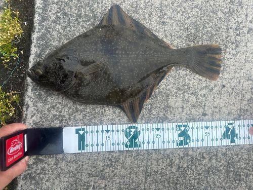 釣果