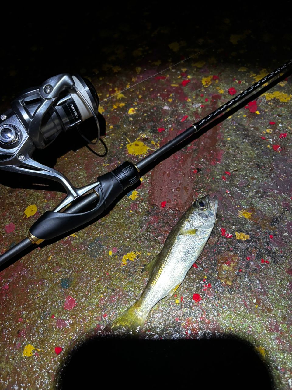 SHIMANO 22ソアレ SS アジング S58UL-Sの最安値・インプレ・釣果