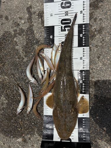 釣果