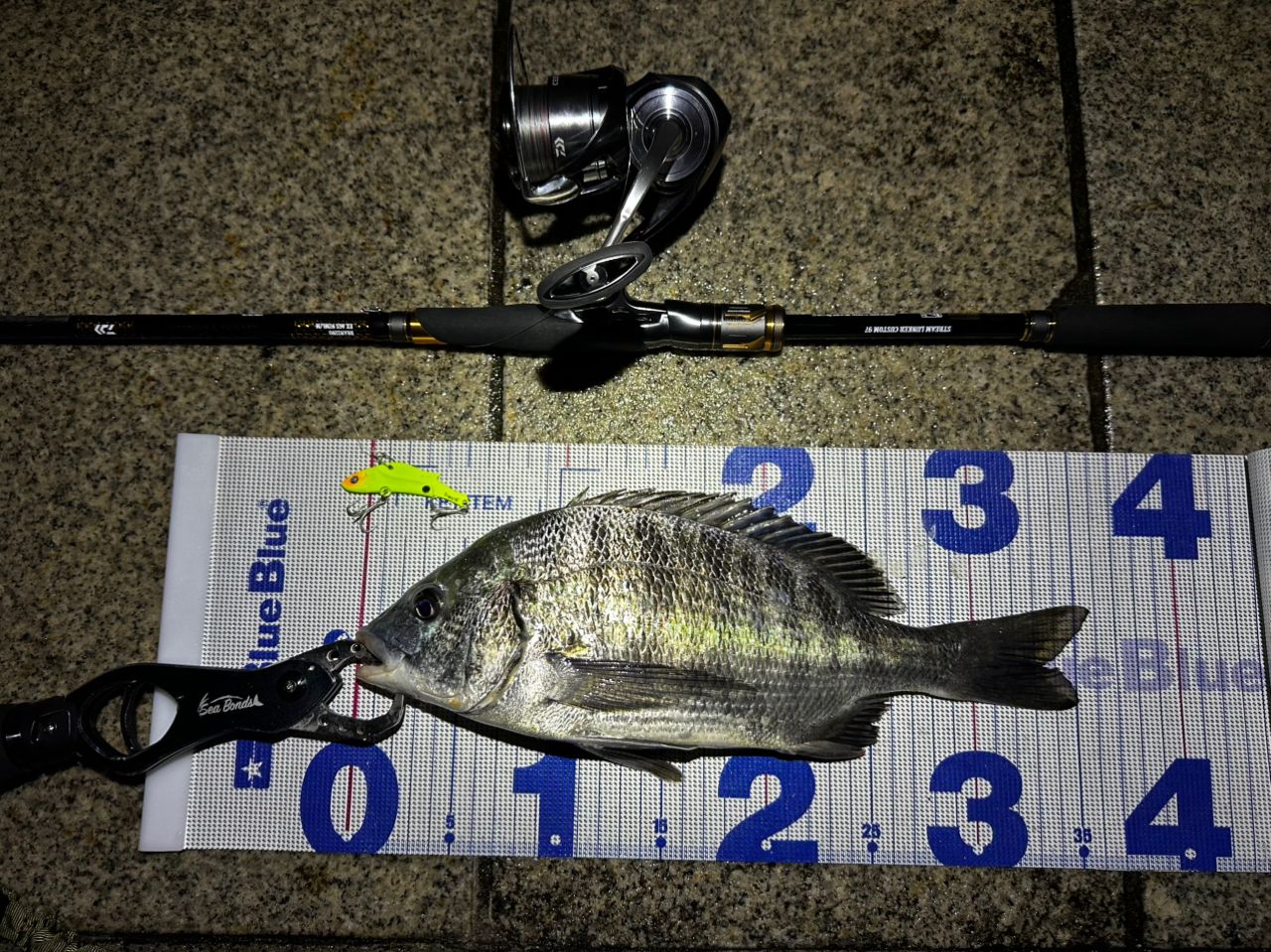 DAIWA 21モアザン ブランジーノ EX AGS 97ML/Mの最安値・インプレ
