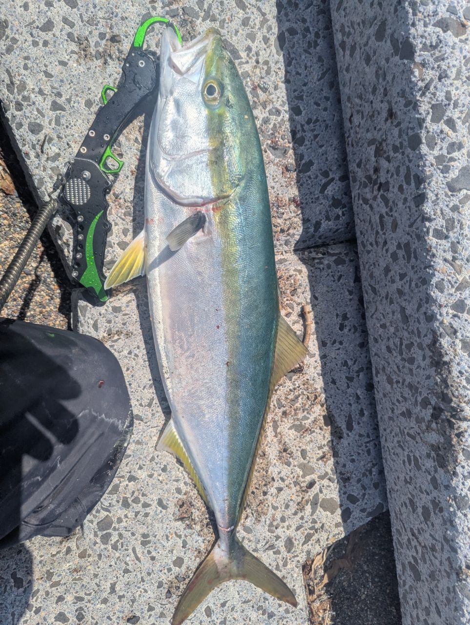 SHIMANO 19コルトスナイパー SS S106MHの最安値・インプレ・釣果