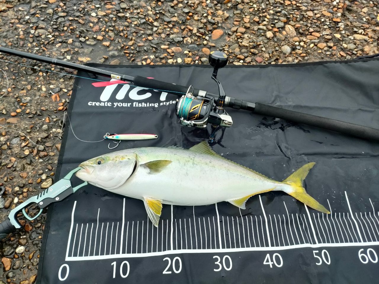 SHIMANO 19ステラ SW 6000HGの最安値・インプレ・釣果 | 本音の口コミ