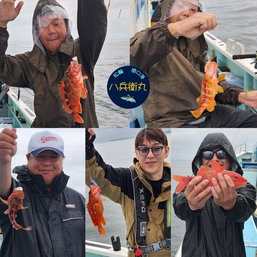 アカハタの釣果