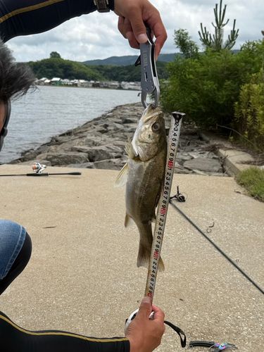 釣果