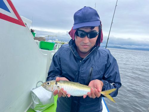 マアジの釣果