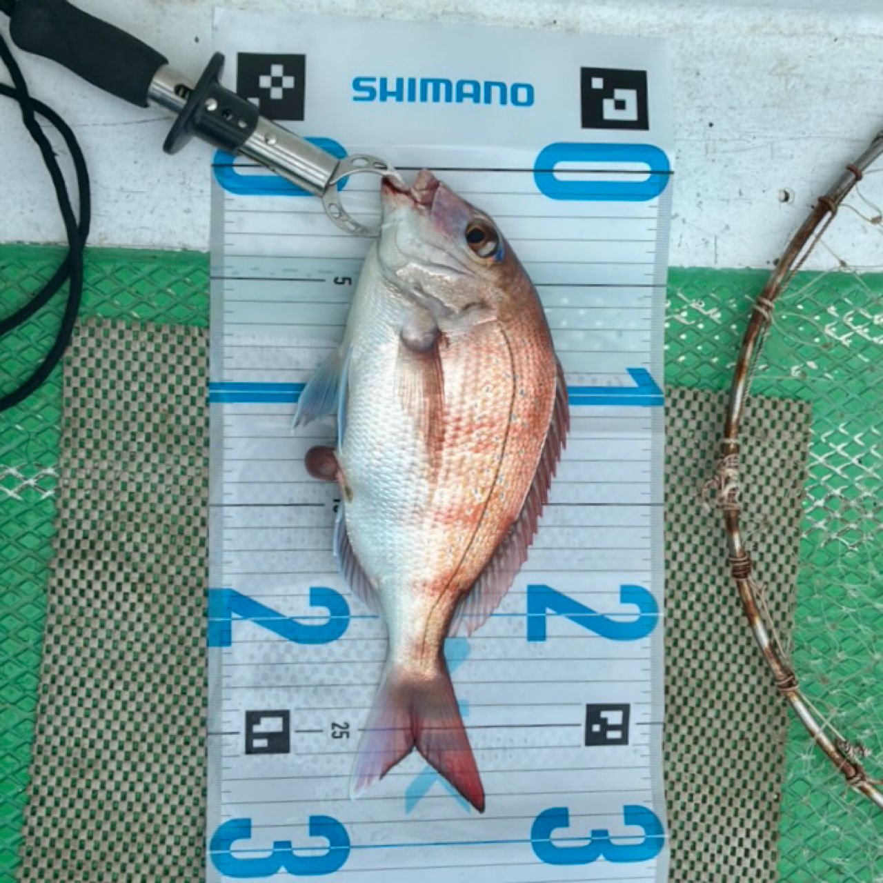 SHIMANO 22炎月 SS フルソリッドモデル B60ML-FS/RIGHTの最安値