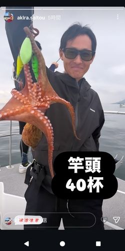 タコの釣果