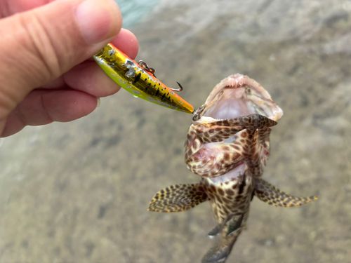 釣果