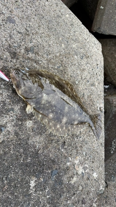 釣果