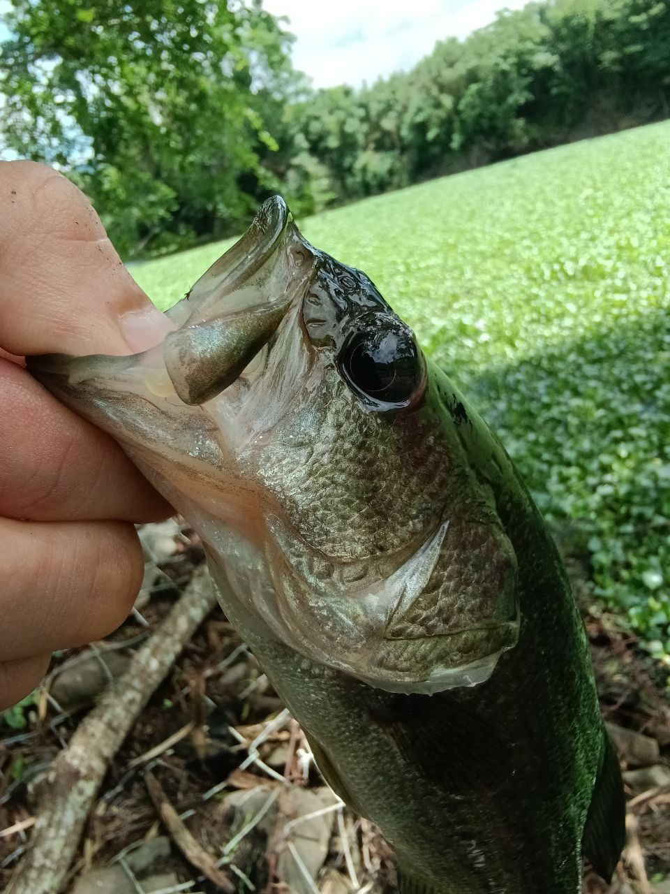 DAIWA 22モバイルパック 665TMBの最安値・インプレ・釣果 | 本音の