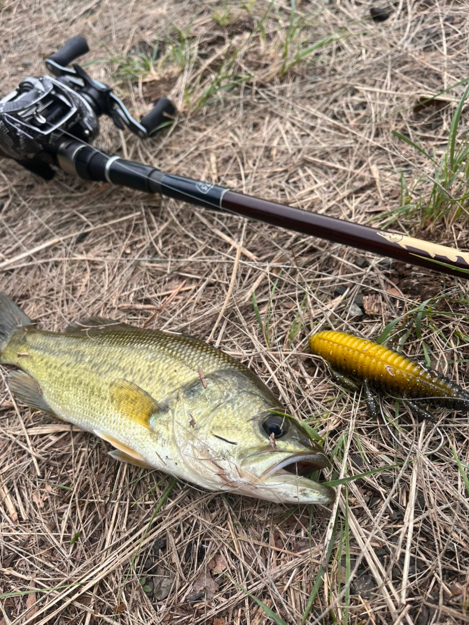 DAIWA 18ハートランド 752HRB-21の最安値・インプレ・釣果 | 本音の