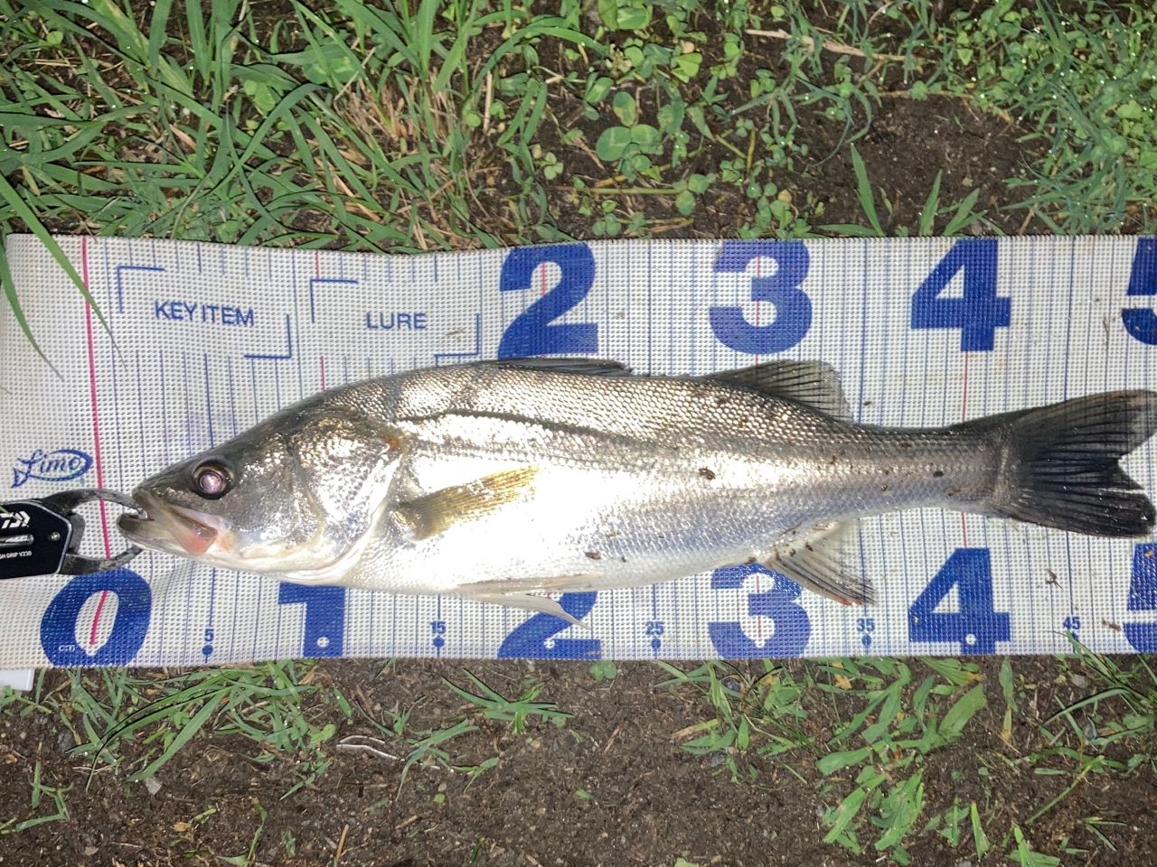 DAIWA 21ラブラックス AGS 90MLの最安値・インプレ・釣果 | 本音の