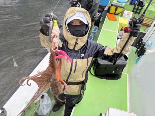 マダコの釣果