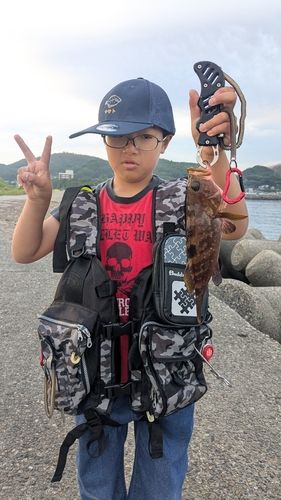シロギスの釣果