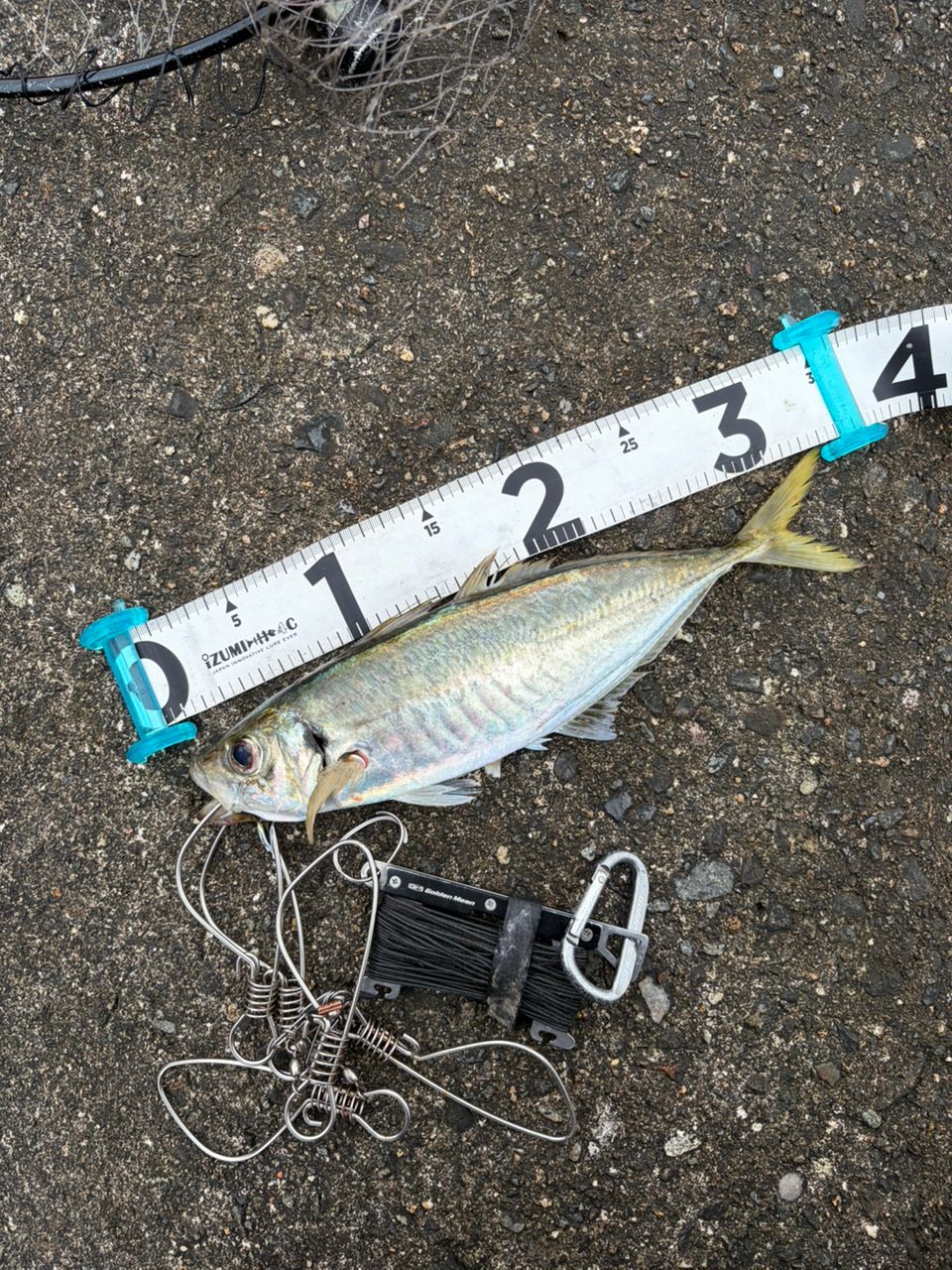 SHIMANO 21セフィア XR S83MLの最安値・インプレ・釣果 | 本音の口コミ
