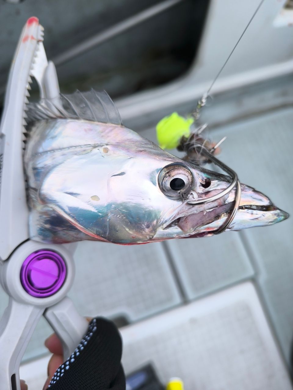 DAIWA 22紅牙 X 69MHB-Sの最安値・インプレ・釣果 | 本音の口コミが