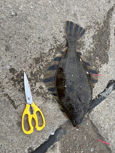 釣果
