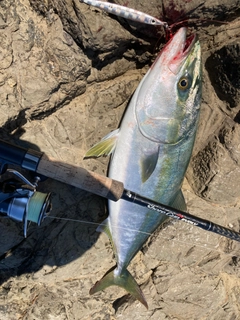 ガンドの釣果