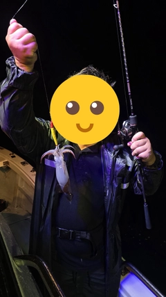 シロイカの釣果