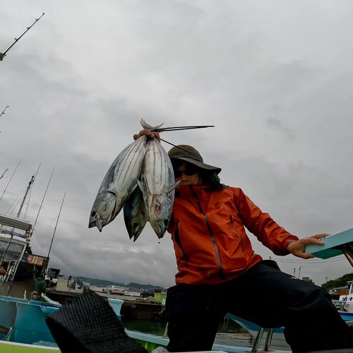 カツオの釣果
