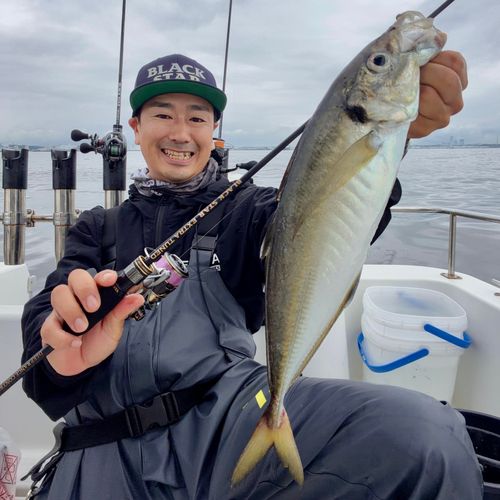 マアジの釣果